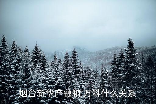 萬科集團旗下的公司