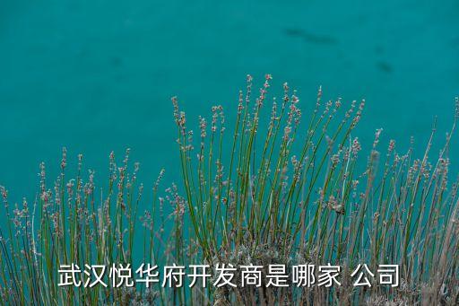 武漢悅?cè)A府開(kāi)發(fā)商是哪家 公司