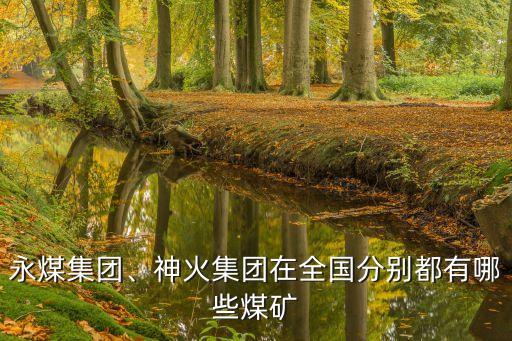 永煤集團(tuán)、神火集團(tuán)在全國(guó)分別都有哪些煤礦