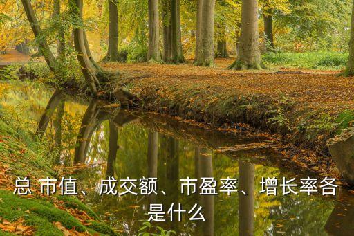 總 市值、成交額、市盈率、增長率各是什么