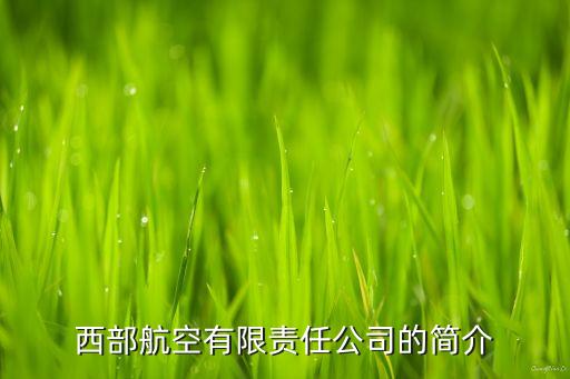 武漢國瑞投資有限公司,國瑞和北京投資有限公司