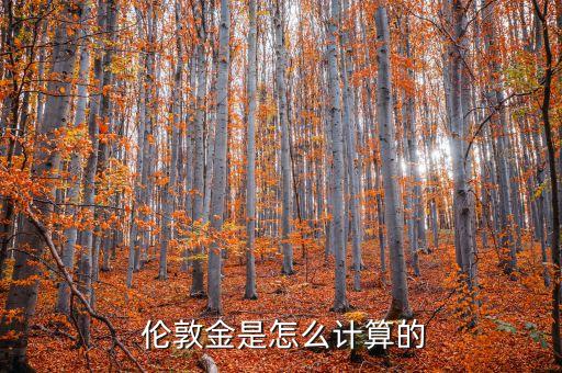  倫敦金是怎么計(jì)算的