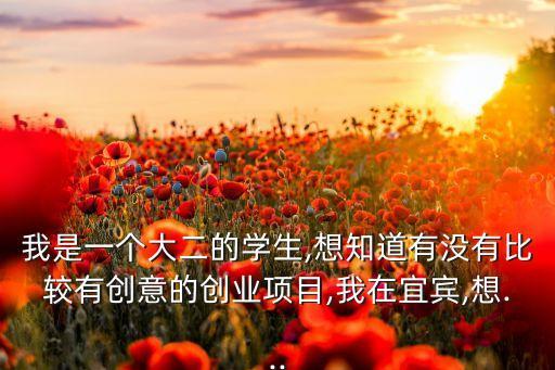 我是一個(gè)大二的學(xué)生,想知道有沒(méi)有比較有創(chuàng)意的創(chuàng)業(yè)項(xiàng)目,我在宜賓,想...