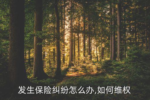 發(fā)生保險糾紛怎么辦,如何維權