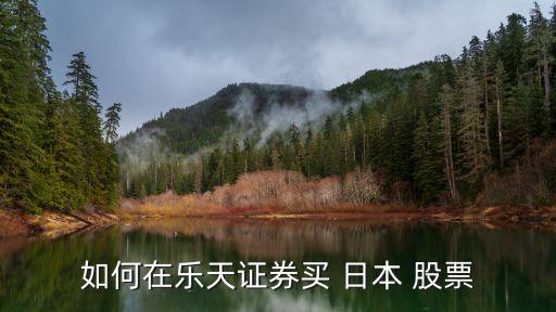 如何在樂(lè)天證券買(mǎi) 日本 股票