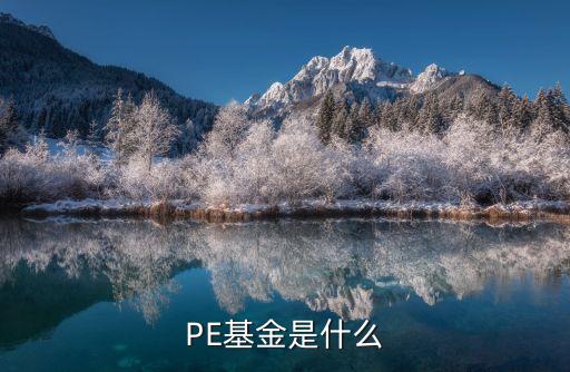 弘毅投資上市公司,美人魚(yú)2投資的上市公司