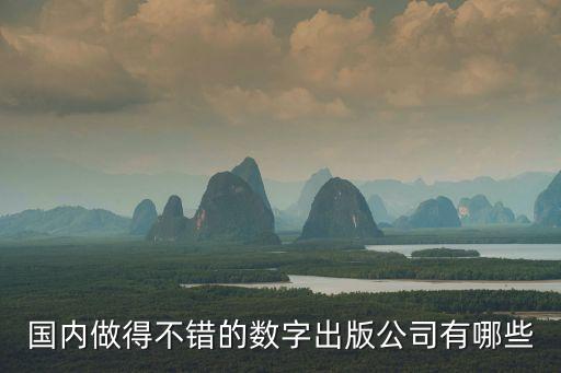 國內做得不錯的數字出版公司有哪些