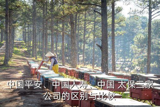 中國(guó)平安、中國(guó)人壽、中國(guó) 太保三家公司的區(qū)別與比較
