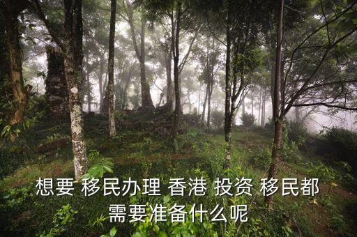 想要 移民辦理 香港 投資 移民都需要準備什么呢