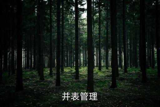 集團(tuán)并表管理