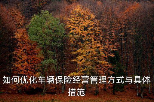 如何優(yōu)化車輛保險(xiǎn)經(jīng)營管理方式與具體措施