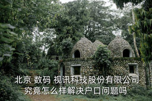 北京 數(shù)碼 視訊科技股份有限公司究竟怎么樣解決戶(hù)口問(wèn)題嗎
