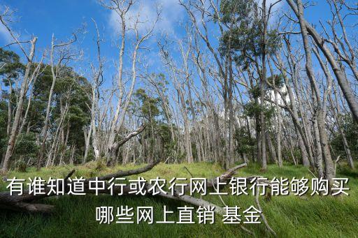 有誰知道中行或農(nóng)行網(wǎng)上銀行能夠購(gòu)買哪些網(wǎng)上直銷 基金
