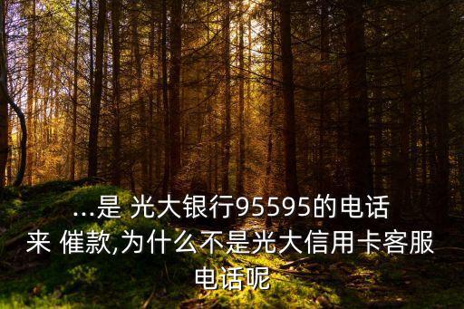 ...是 光大銀行95595的電話(huà)來(lái) 催款,為什么不是光大信用卡客服電話(huà)呢