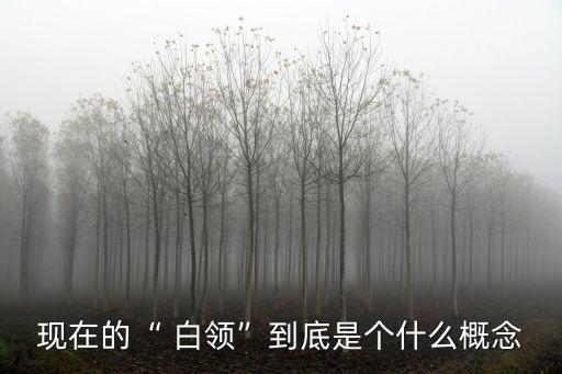 中國白領(lǐng)增長,中國女性白領(lǐng)人數(shù)