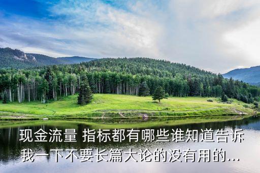  現(xiàn)金流量 指標都有哪些誰知道告訴我一下不要長篇大論的沒有用的...