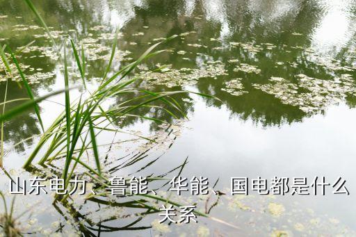 山東電力、魯能、華能、國電都是什么關(guān)系