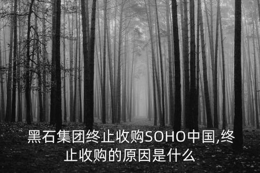  黑石集團(tuán)終止收購SOHO中國(guó),終止收購的原因是什么