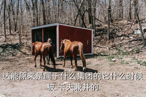 達能原來是屬于什么集團的它什么時候被 卡夫兼并的