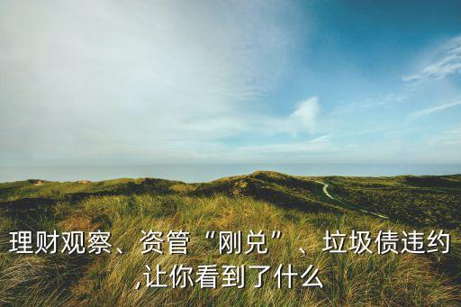 理財(cái)觀察、資管“剛兌”、垃圾債違約,讓你看到了什么
