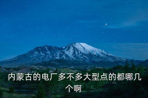  內(nèi)蒙古的電廠多不多大型點(diǎn)的都哪幾個(gè)啊