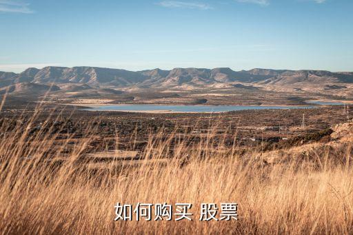 如何購(gòu)買 股票