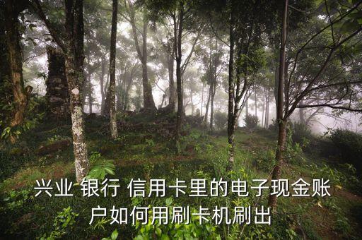  興業(yè) 銀行 信用卡里的電子現金賬戶如何用刷卡機刷出
