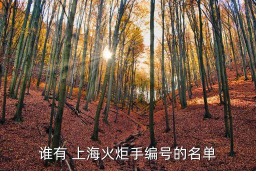 誰有 上?；鹁媸志幪?hào)的名單