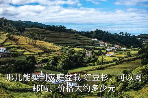 那兒能買到家庭盆栽 紅豆杉、可以網(wǎng)郵嗎、價格大約多少元