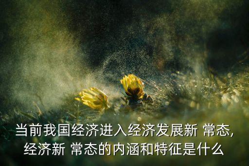 當(dāng)前我國經(jīng)濟進入經(jīng)濟發(fā)展新 常態(tài),經(jīng)濟新 常態(tài)的內(nèi)涵和特征是什么