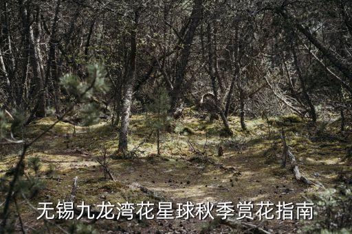 無(wú)錫九龍灣花星球秋季賞花指南