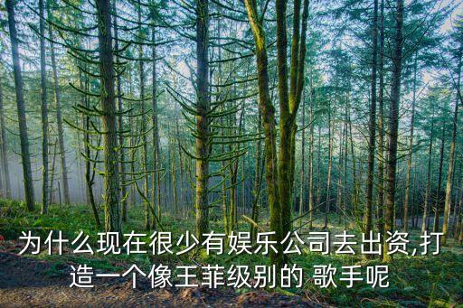 為什么現(xiàn)在很少有娛樂公司去出資,打造一個(gè)像王菲級別的 歌手呢