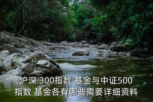 長安滬深300基金,大成滬深300基金凈值最新