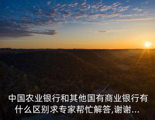 中國(guó)農(nóng)業(yè)銀行境外機(jī)構(gòu)