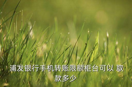  浦發(fā)銀行手機(jī)轉(zhuǎn)賬限額柜臺可以 取款多少