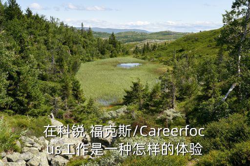 在科銳 ?？怂?Careerfocus工作是一種怎樣的體驗