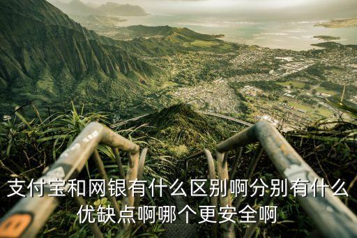 支付寶和網(wǎng)銀有什么區(qū)別啊分別有什么優(yōu)缺點(diǎn)啊哪個更安全啊