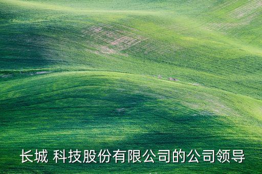  長(zhǎng)城 科技股份有限公司的公司領(lǐng)導(dǎo)