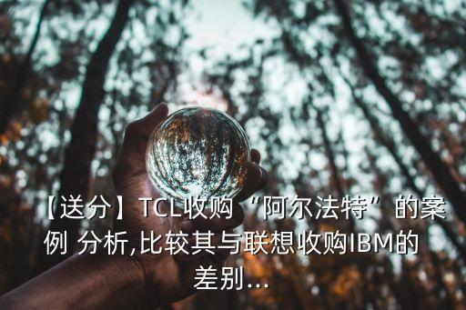 【送分】TCL收購“阿爾法特”的案例 分析,比較其與聯想收購IBM的差別...