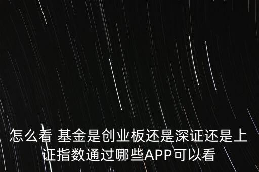 怎么看 基金是創(chuàng)業(yè)板還是深證還是上證指數通過哪些APP可以看