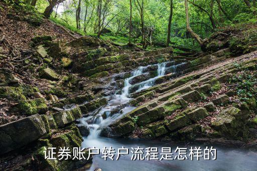  證券賬戶(hù)轉(zhuǎn)戶(hù)流程是怎樣的