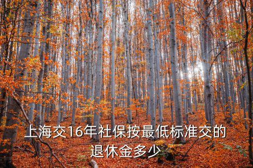  上海交16年社保按最低標準交的 退休金多少