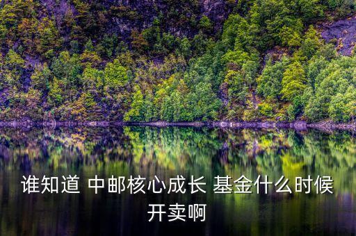誰知道 中郵核心成長(zhǎng) 基金什么時(shí)候開賣啊