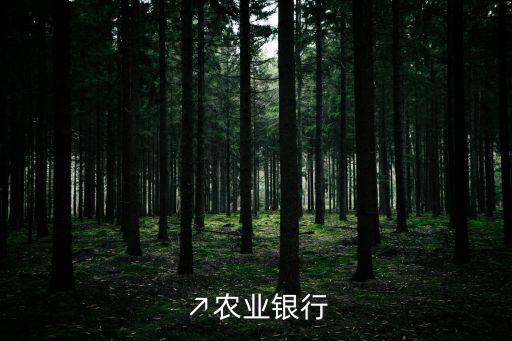 境內商業(yè)銀行的分支機構包括