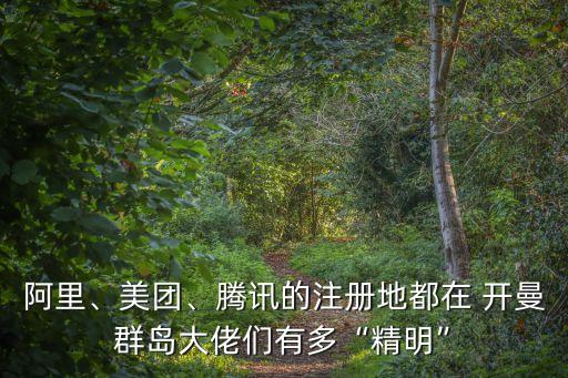阿里、美團(tuán)、騰訊的注冊(cè)地都在 開曼群島大佬們有多“精明”