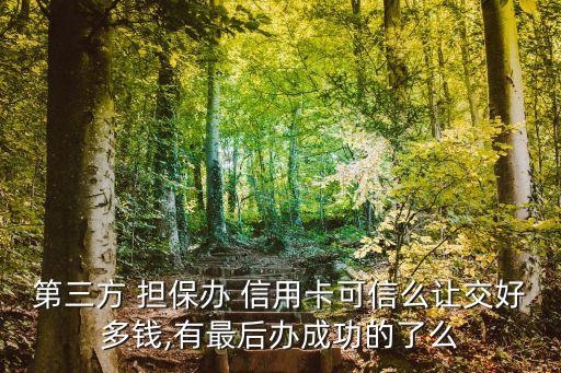 第三方 擔保辦 信用卡可信么讓交好多錢,有最后辦成功的了么