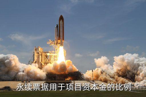  永續(xù)票據用于項目資本金的比例