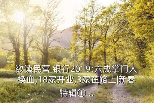 數(shù)讀民營(yíng) 銀行2019:六成掌門(mén)人換血,18家開(kāi)業(yè),3家在路上|新春特輯①...