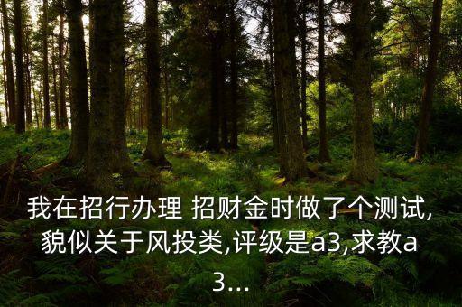 我在招行辦理 招財金時做了個測試,貌似關于風投類,評級是a3,求教a3...