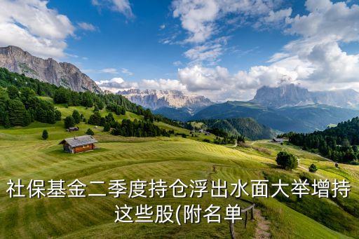 社保基金二季度持倉(cāng)浮出水面大舉增持這些股(附名單